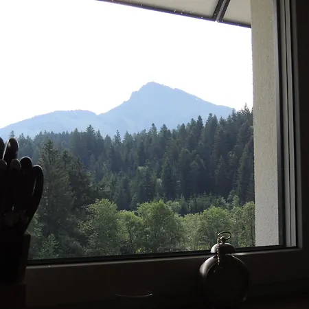 Apartman Haus Huettenberger Going am Wilden Kaiser